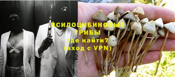 ГАЛЛЮЦИНОГЕННЫЕ ГРИБЫ Липки