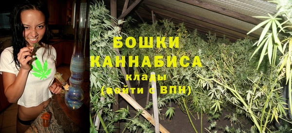 ГАЛЛЮЦИНОГЕННЫЕ ГРИБЫ Липки