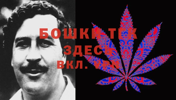 ГАЛЛЮЦИНОГЕННЫЕ ГРИБЫ Липки