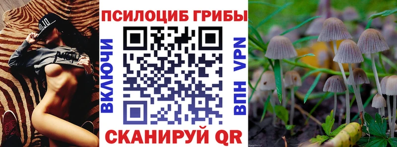 Псилоцибиновые грибы мухоморы Купить закладки Изобильный
