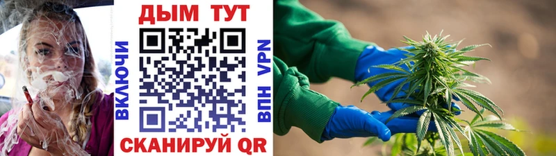 Канабис SATIVA & INDICA  Купить закладки  Изобильный 